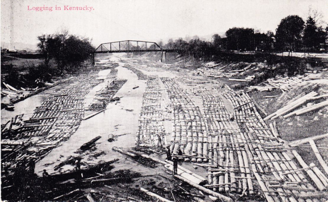 River Logging