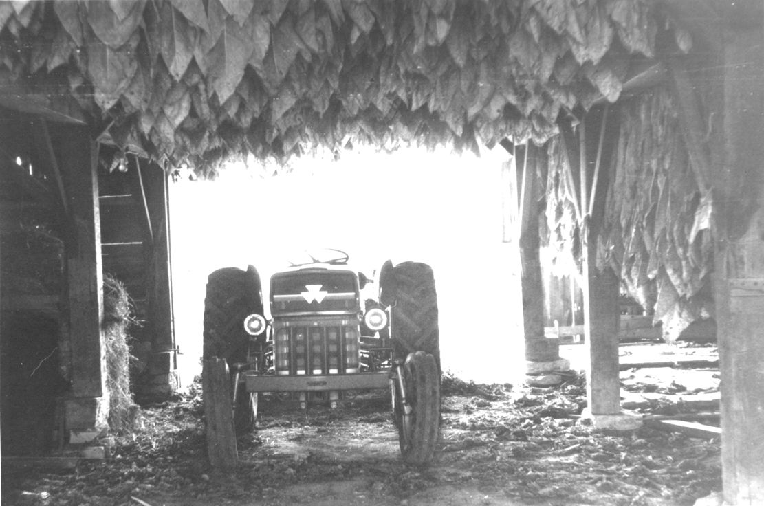 Boone County Tobacco Farming