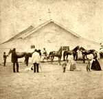 Horse Farm