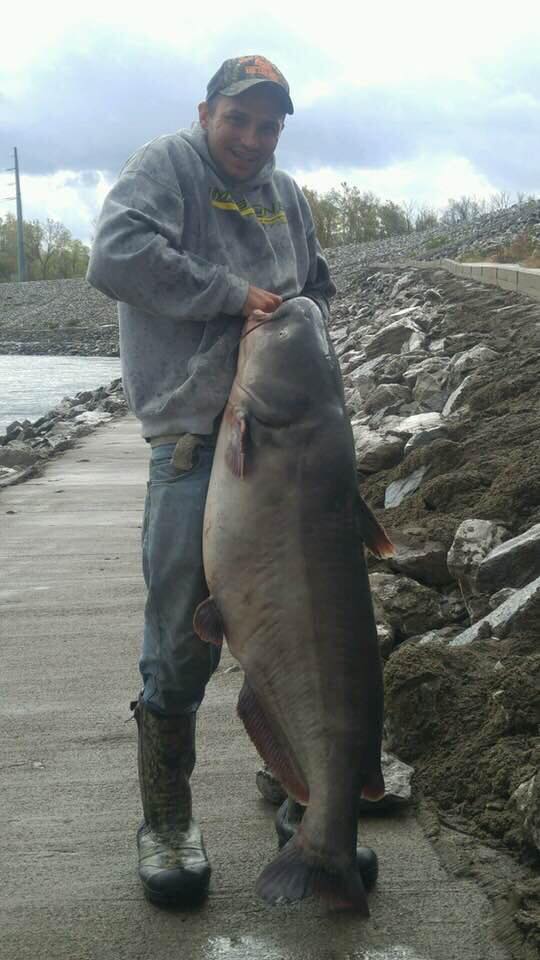 Big Catfish