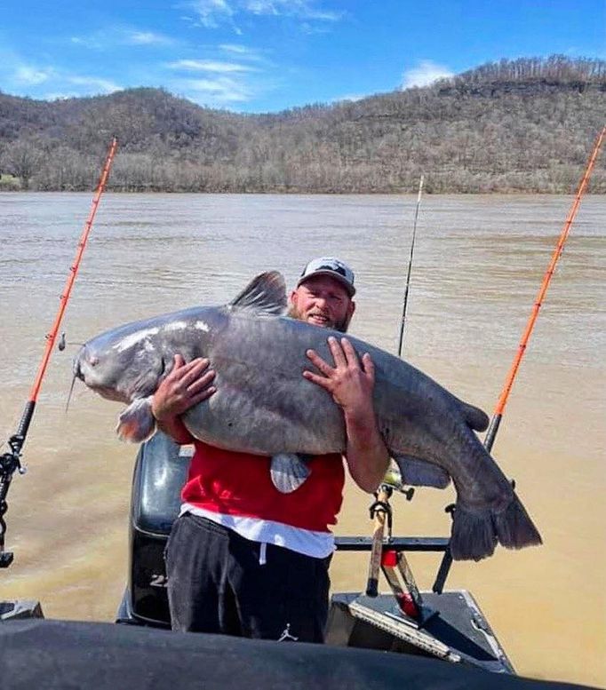 Big Catfish