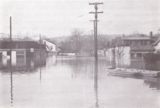 Dayton Flood Scene