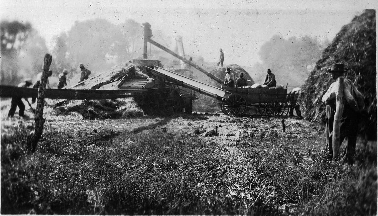 Campbell County Farming