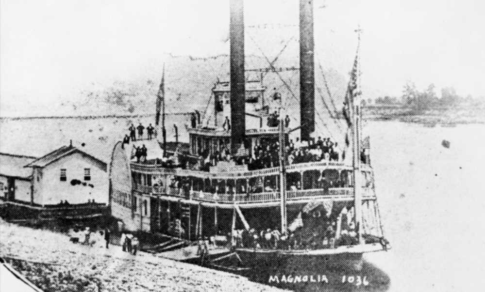 Magnolia