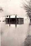 1937 Flood, Warsaw, Ky