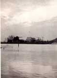 1937 Flood, Warsaw, Ky