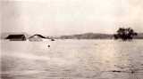 1937 Flood, Warsaw, Ky