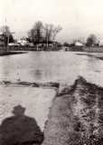 1937 Flood, Warsaw, Ky