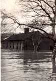 1937 Flood, Warsaw, Ky