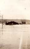 1937 Flood, Warsaw, Ky