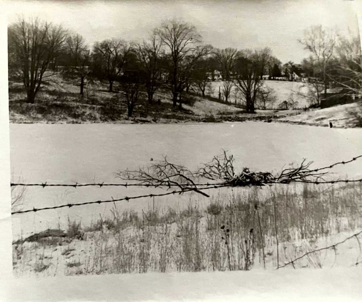 Lake Pollywog