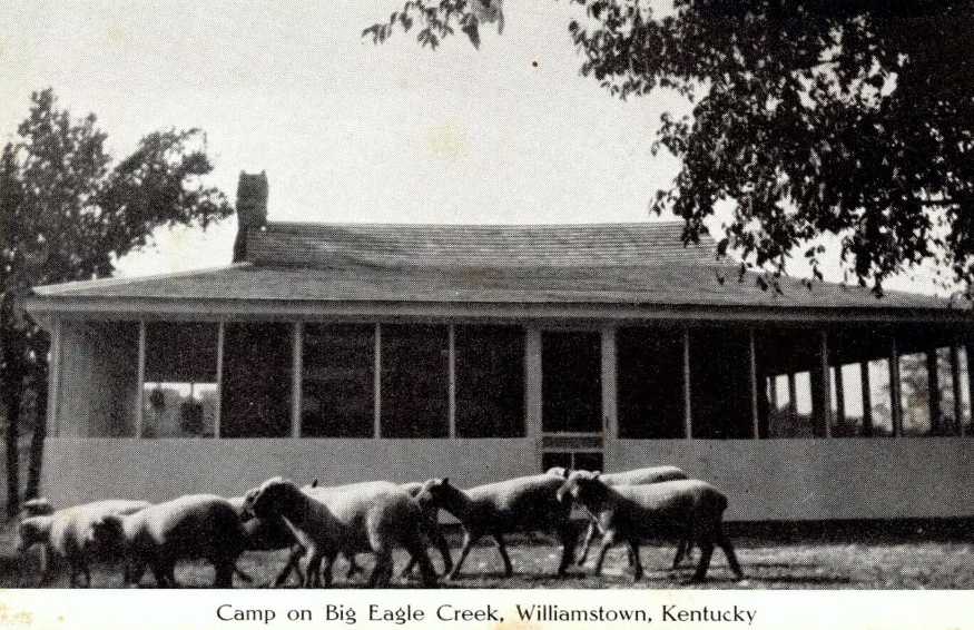 Camp