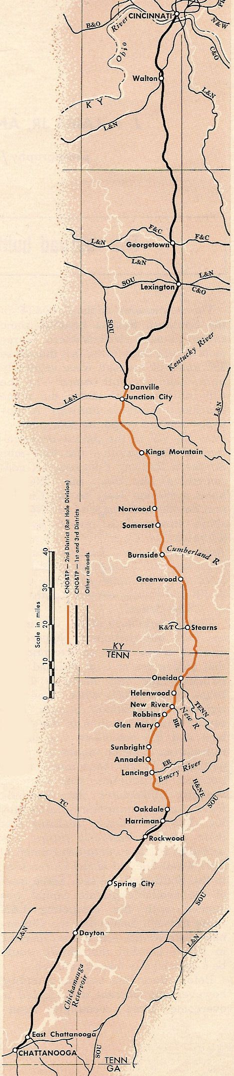 C N O & T P Map