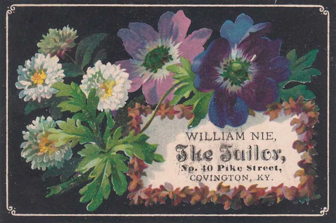 William Nie