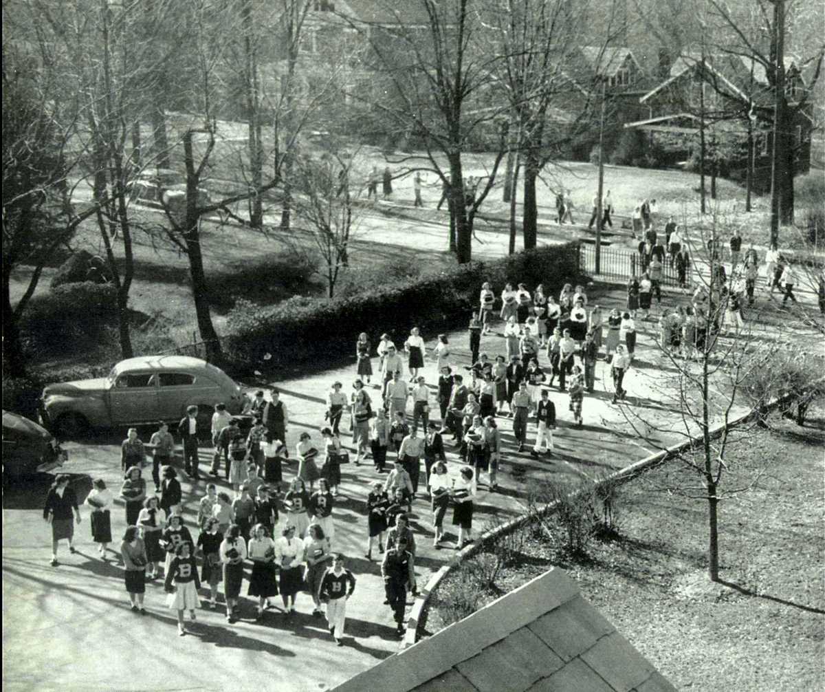 Beechwood