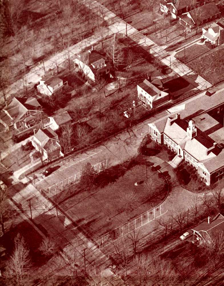 Beechwood