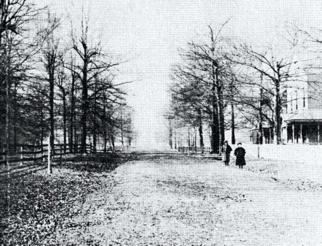 Wallace woods