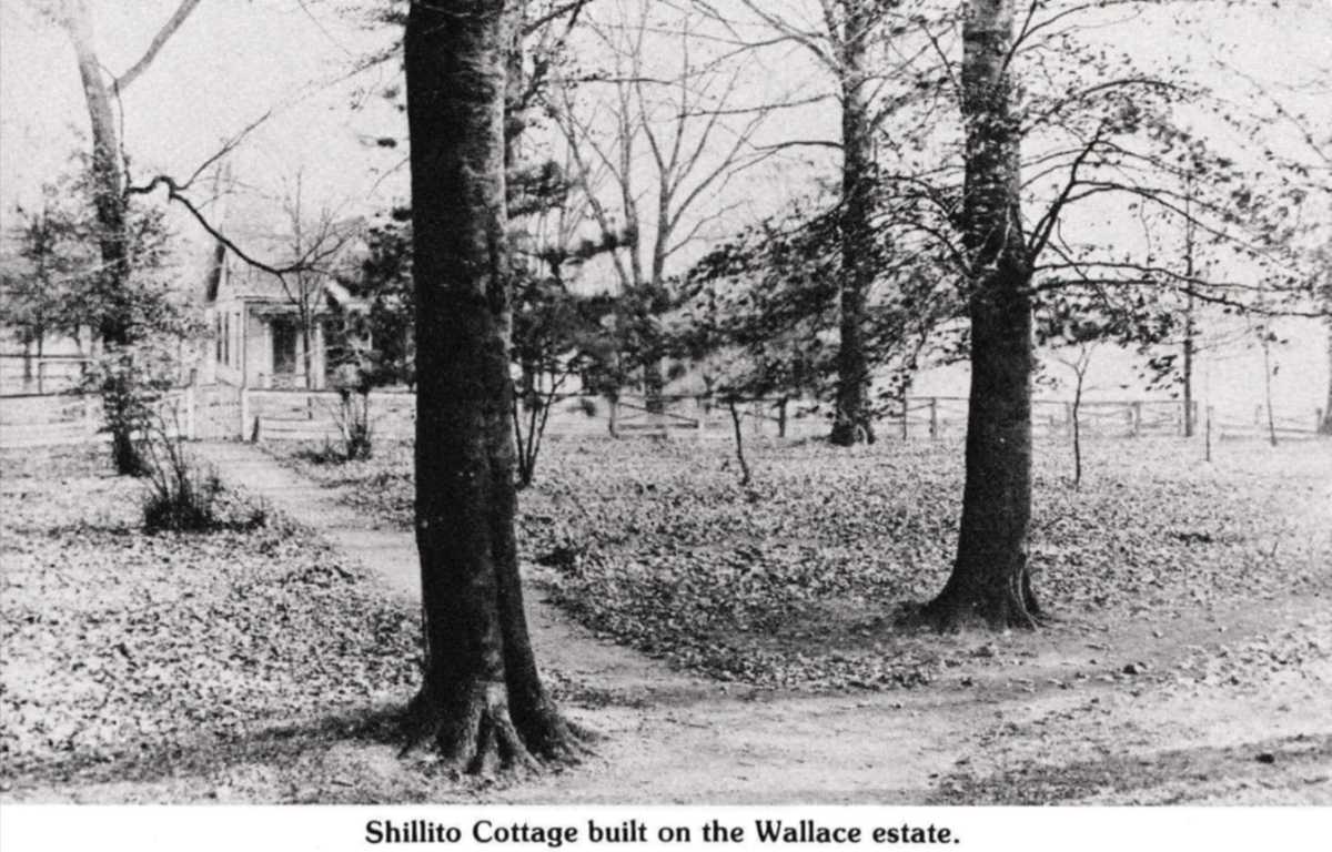 Wallace woods