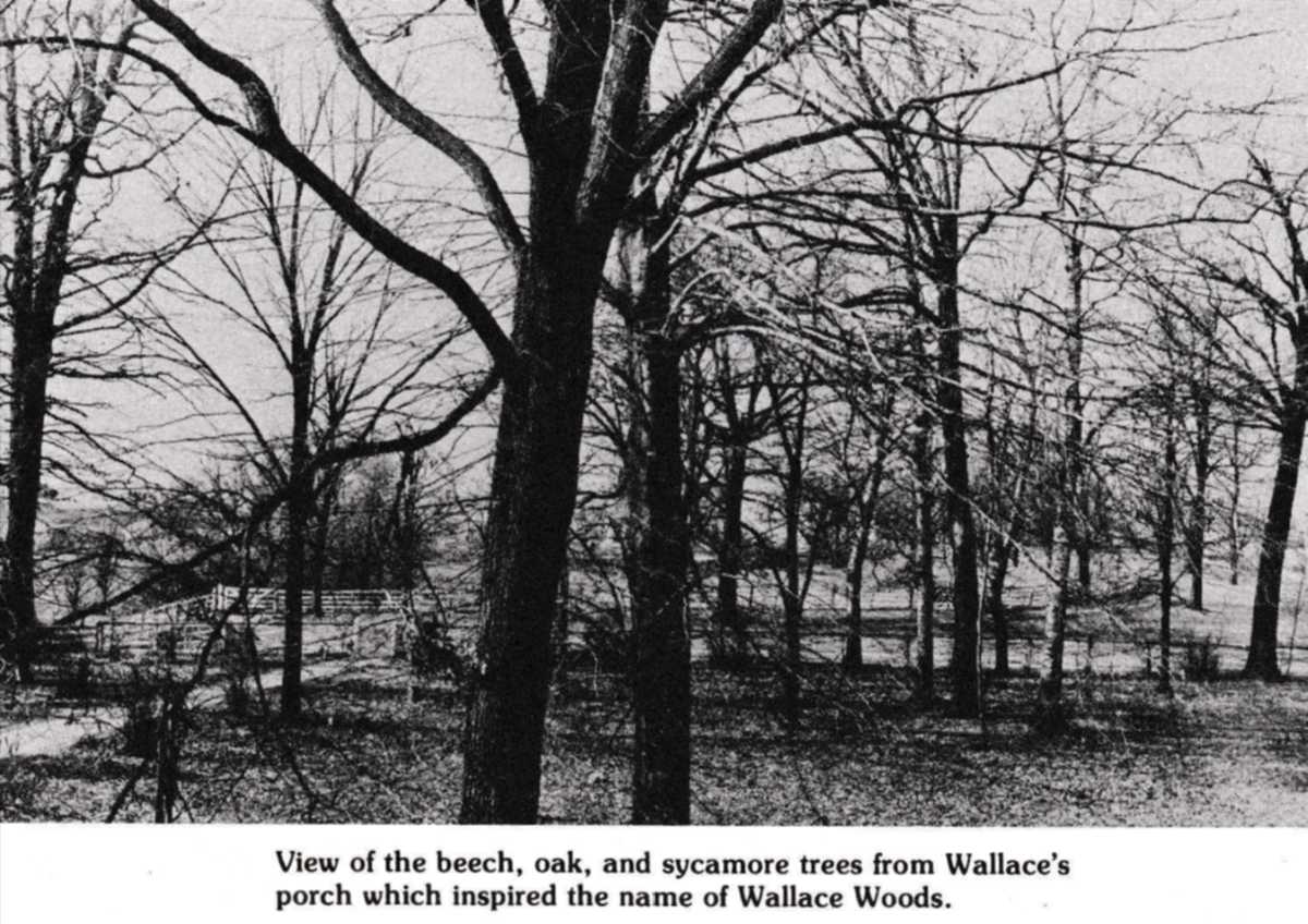 Wallace woods