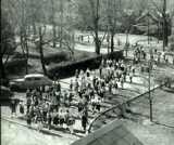 Beechwood