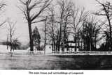 Wallace woods