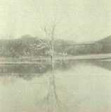 Lagoon