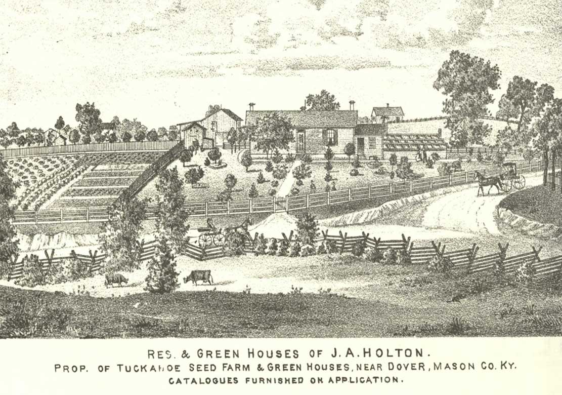 J. A. Holton's Dover, Ky