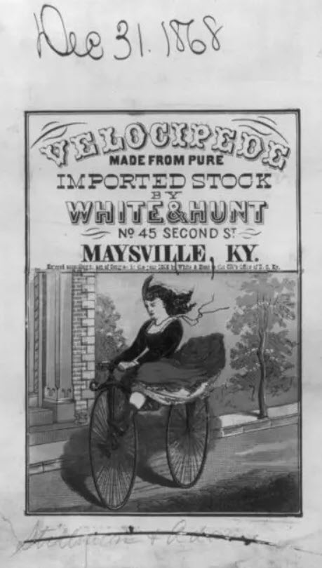 Velocipede