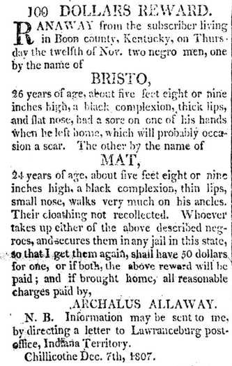 Bistro / Mat