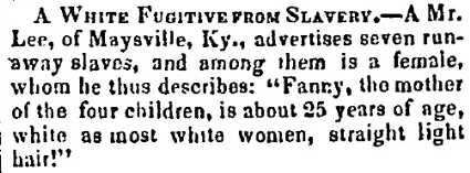 Seven Slaves